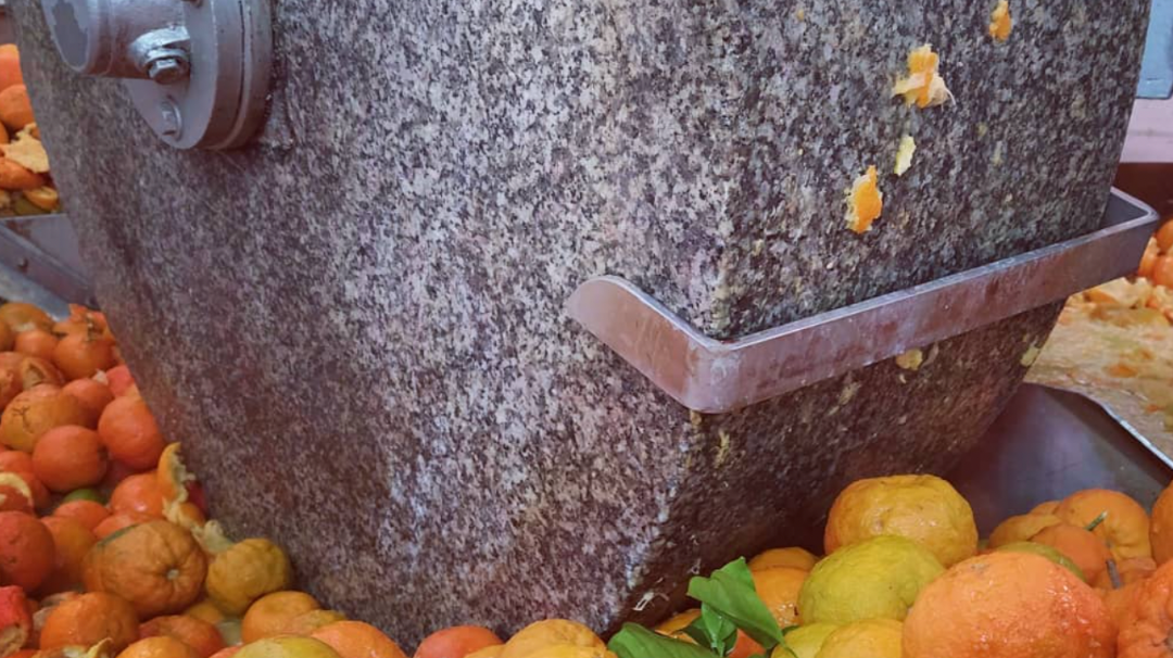 Biolea – Tradition Meets Innovation in Olive Oil Making