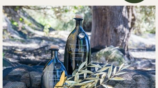 Organic High-Phenolic Olive Oil | Buy Best Olive Oil Online | The Bio Foods