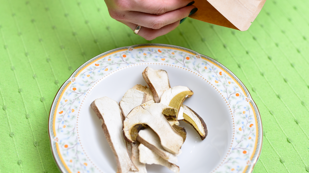 Discover the world of wild mushrooms!