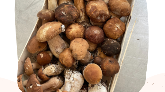 Organic Dried Porcini Mushrooms -> New Season