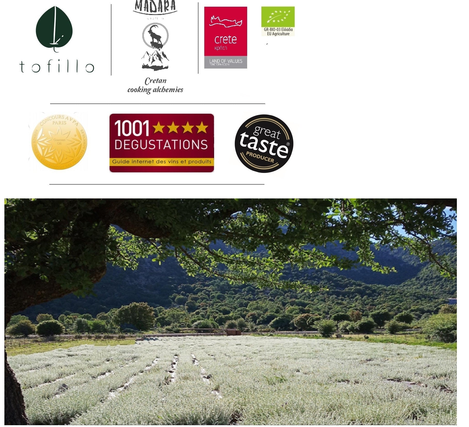 Organic Cretan Sage 2024 | Premium Herbal Tea | Certified Organic Food at The Bio Foods Berlin