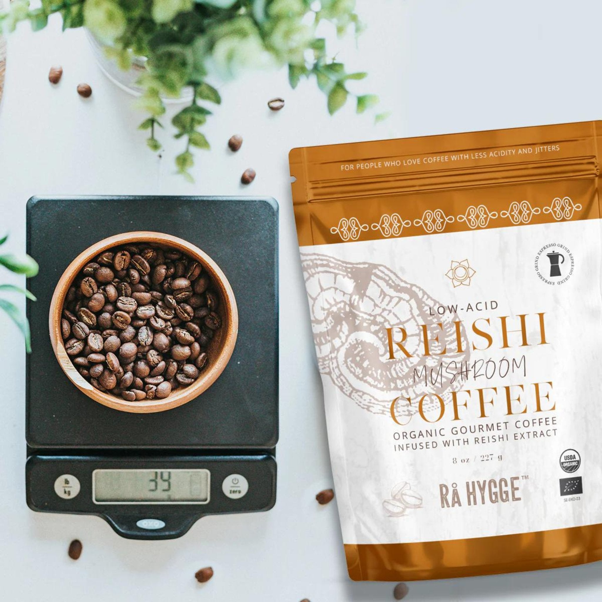 Organic Reishi coffee with earthy aroma. Coffee blend promoting calm energy.